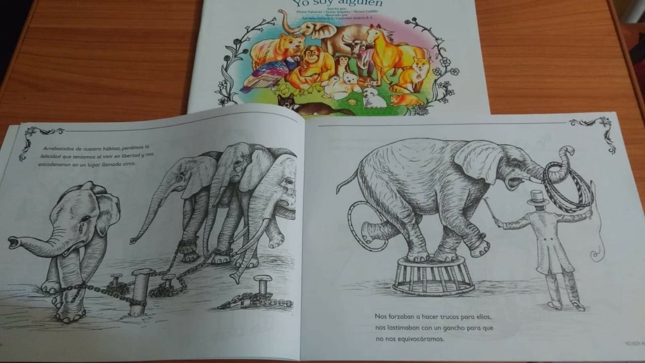 El Estado debe generar una cultura y educacion infantil que acepte los derechos de los animales