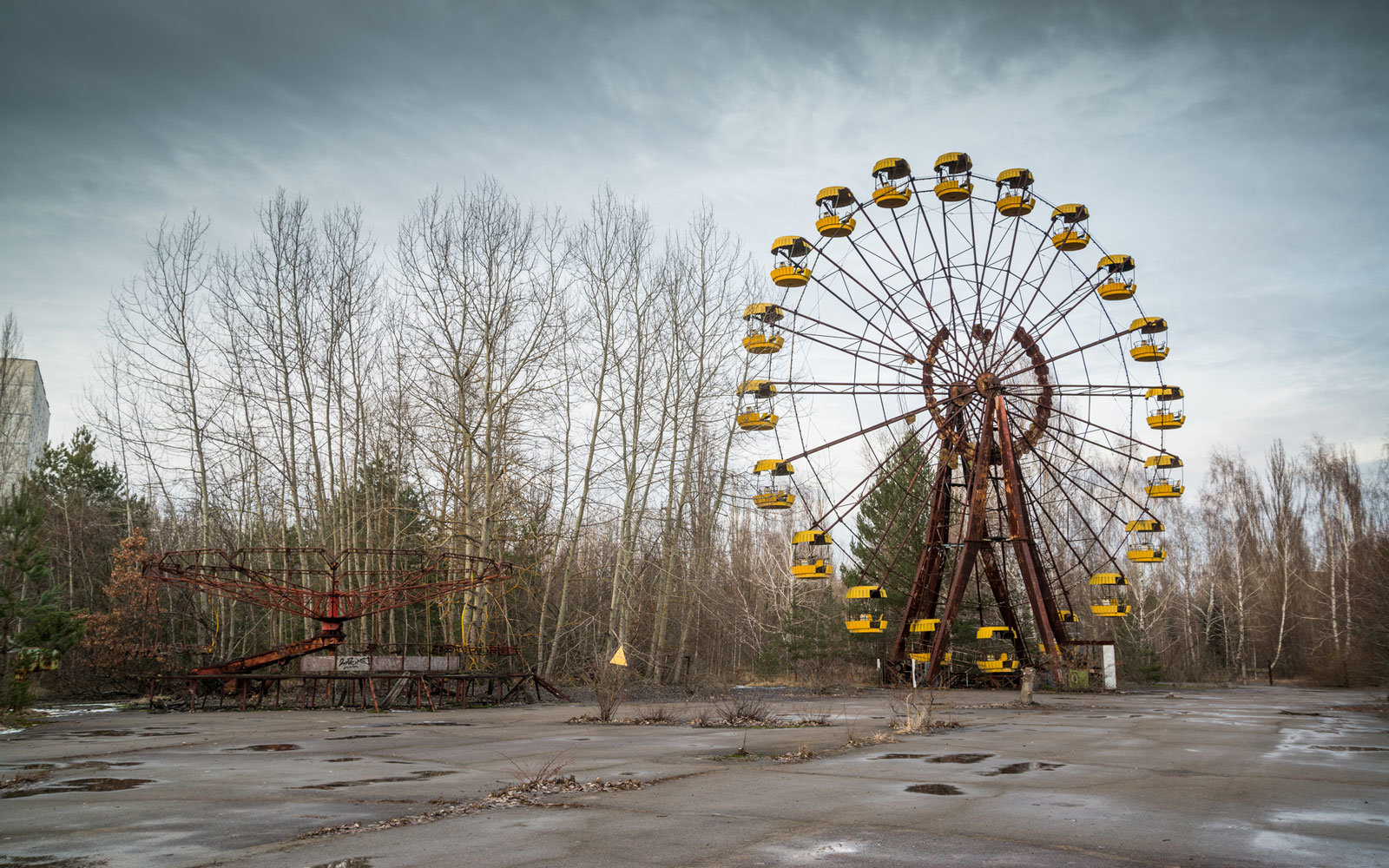 Chernobyl: laboratorio de ambientes extremos