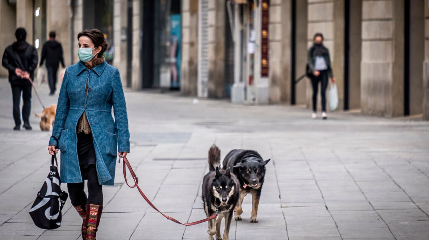 Por ley debes pasear a tu perro con correa en las calles para evitar accidentes