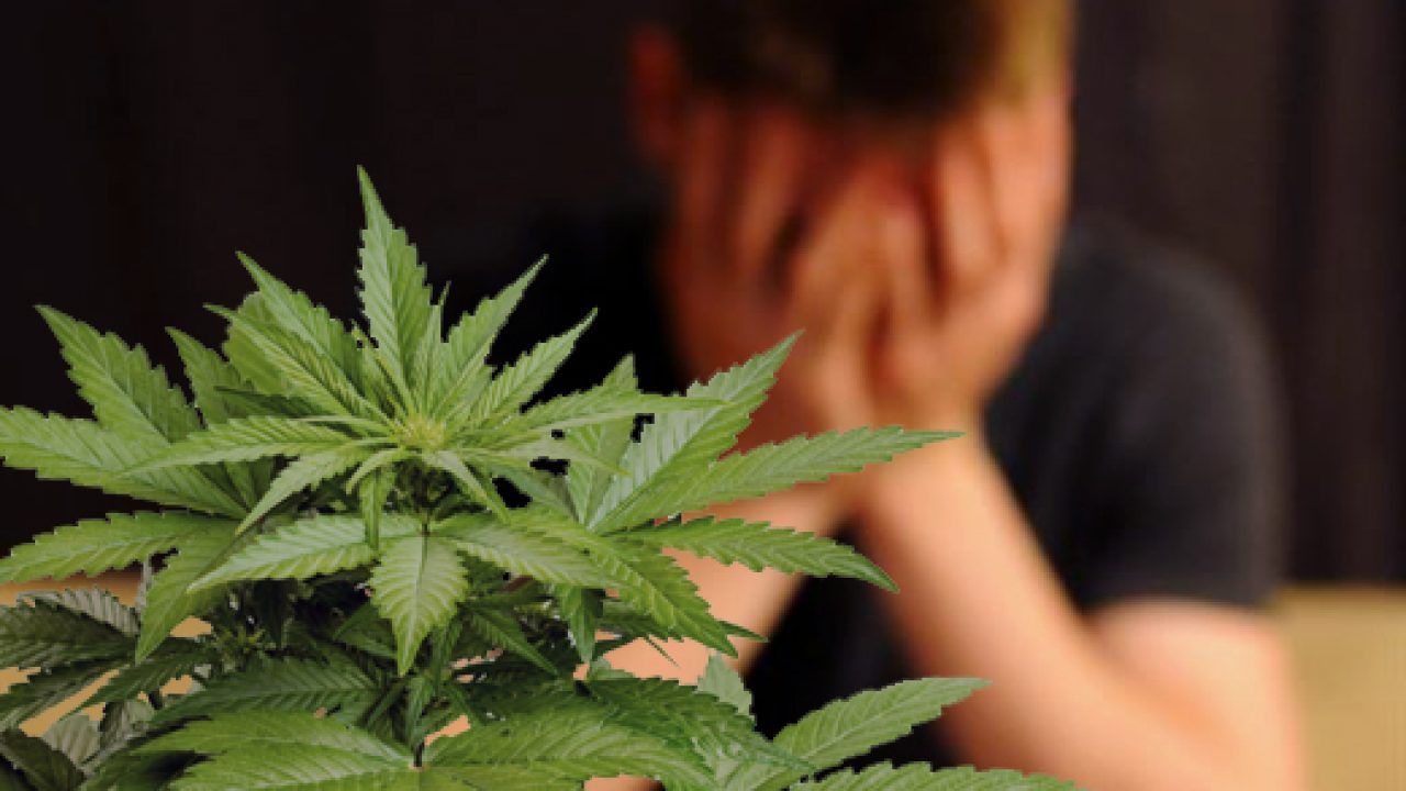 Los efectos en el cerebro del consumo prolongado de marihuana