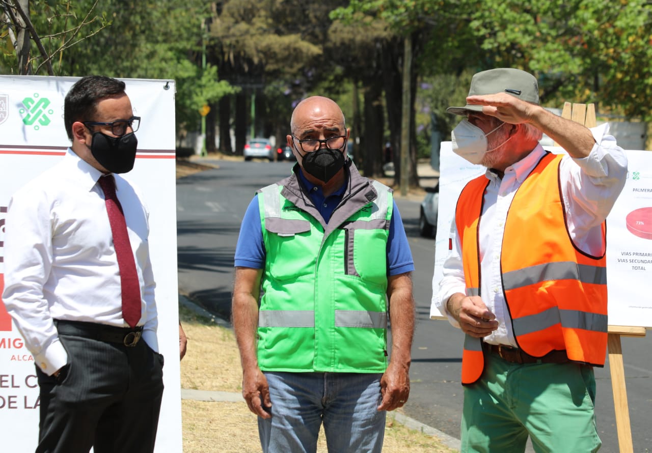 Inicia retiro de palmeras muertas en MH