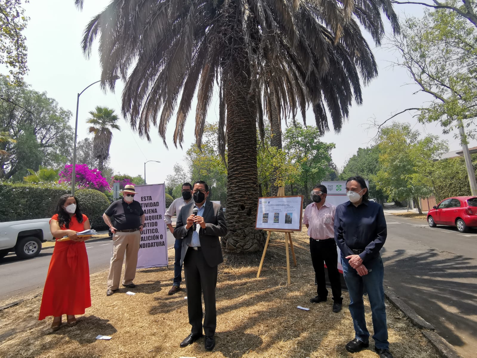 AMH da a conocer dictamen de sus palmeras