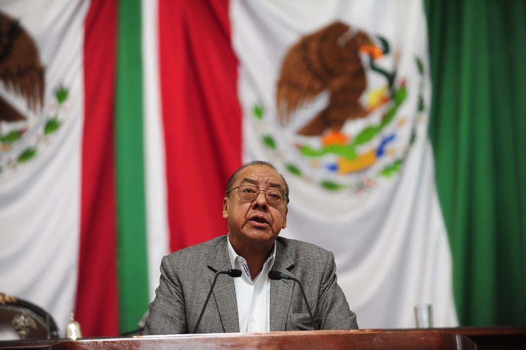 Presentan iniciativa para registrar y regular a paseadores de mascotas en CDMX