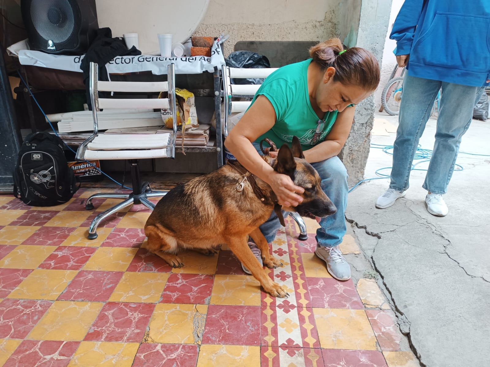¡Éxito total en la jornada de vacunación y esterilización en Iztacalco!