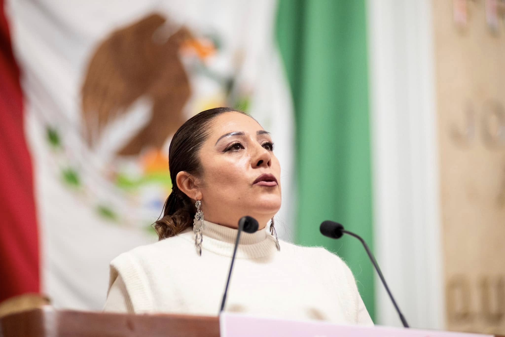 La diputada Xóchitl Bravo Espinosa aseguró que el Paquete Económico 2025 de la Ciudad de México cumple con el objetivo de que el Gobierno local tenga finanzas sanas