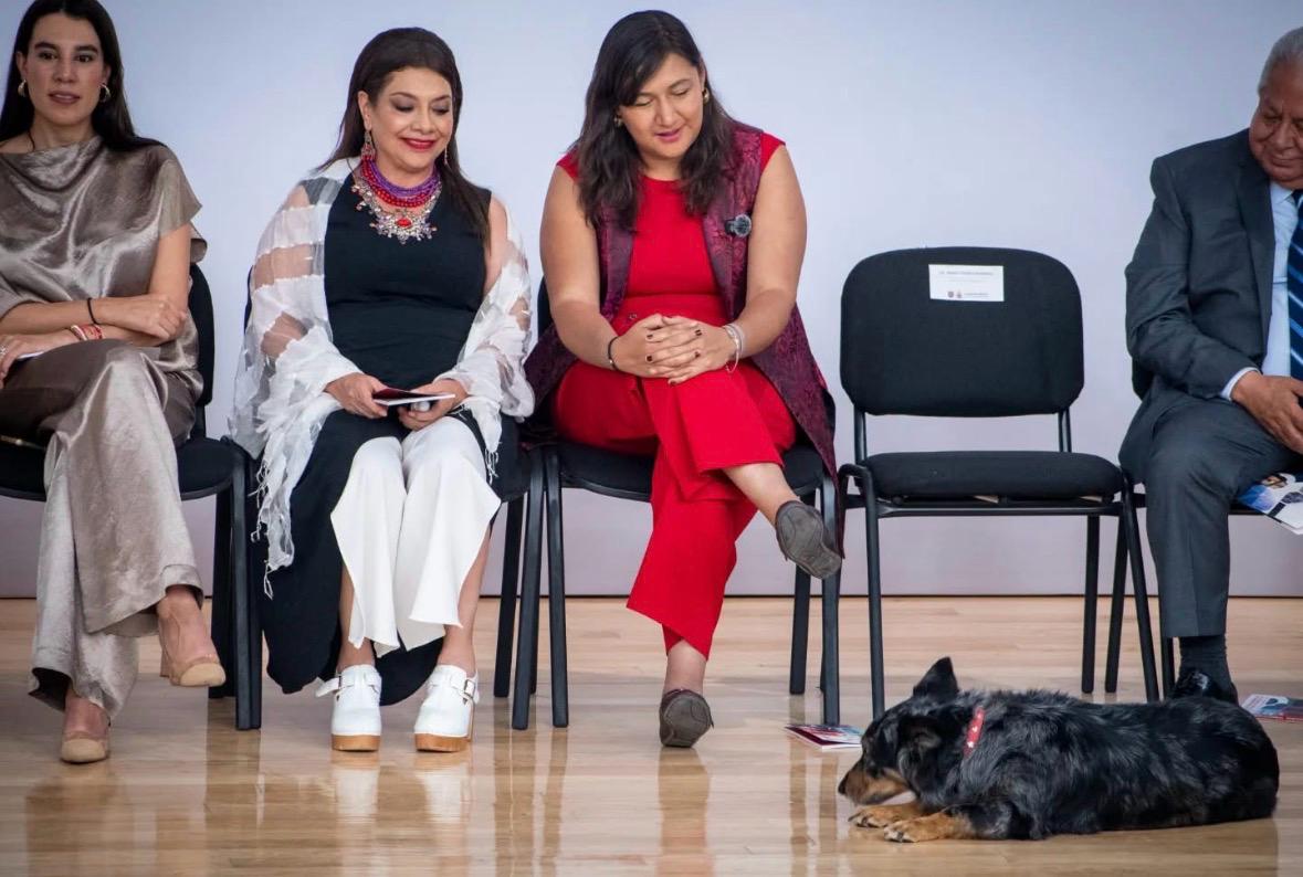 En un ambiente de entusiasmo y visión de futuro, la Alcaldesa, Maestra Nancy Marlene Núñez Reséndiz, participó en la presentación oficial del Tianguis Turístico 2026, que se celebrará en Acapulco, donde anunció con orgullo que Azcapotzalco contará con un stand propio para mostrar al país y al mundo su grandeza cultural, histórica y comunitaria