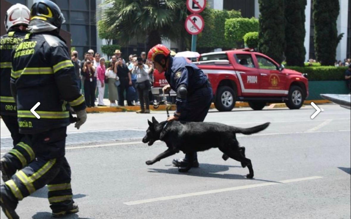 En un contexto de máxima tensión preventiva y con protocolos activados como si se tratara de una emergencia real, desde la Cámara de Diputados, el Diputado Federal por Tlalpan, el maestro Carlos Mirón, lanzó un mensaje contundente tras el Simulacro Nacional del 6 de mayo de 2026, destacando la capacidad de reacción inmediata del Poder Legislativo