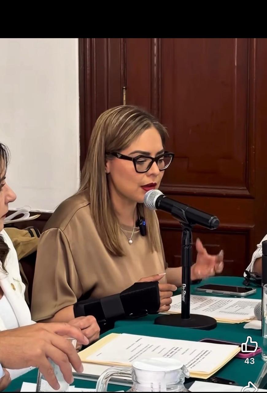 La diputada Brenda Fabiola Ruiz Aguilar presentó una iniciativa de reforma a la legislación hídrica de la Ciudad de México para establecer como política pública obligatoria la captación de agua de lluvia, con el objetivo de fortalecer la seguridad hídrica, incrementar la disponibilidad del recurso y enfrentar de manera sostenible los desafíos derivados del cambio climático y la creciente demanda de agua