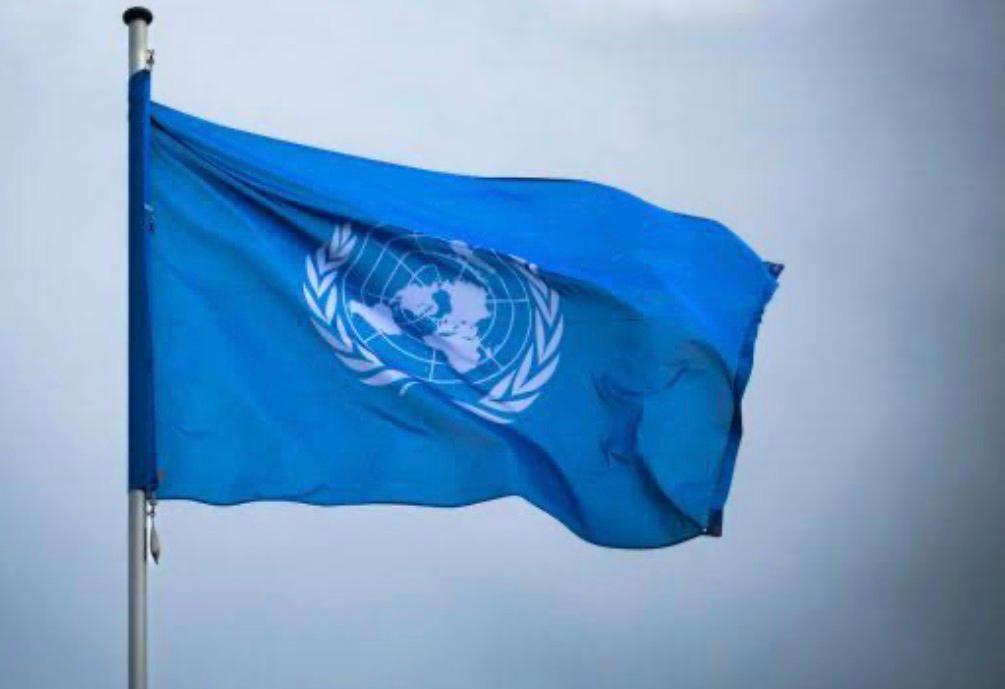 CUESTIONAN POSIBLE INTROMISIÓN DE LA ONU Y SU RELACIÓN CON LOS INTERESES DE LA CED